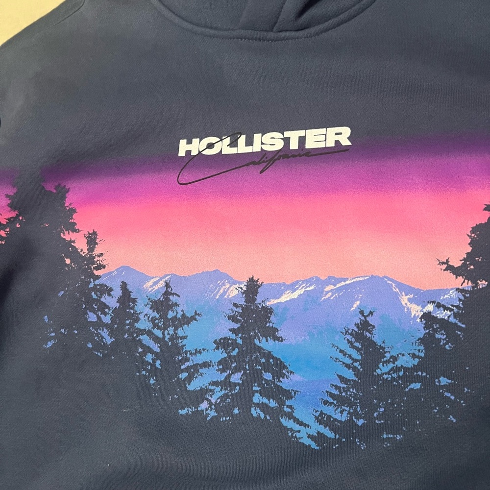 Hollister Hoodie